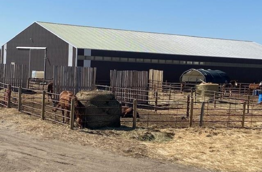 Rural Address, Vanscoy Rm No. 345, Saskatchewan S0L 3J0, 7 Bedrooms Bedrooms, 22 Rooms Rooms,4 BathroomsBathrooms,Acreage,For Sale,Prairie Lane Equestrian Centre Vanscoy RM 345,Rural Address,SK941877