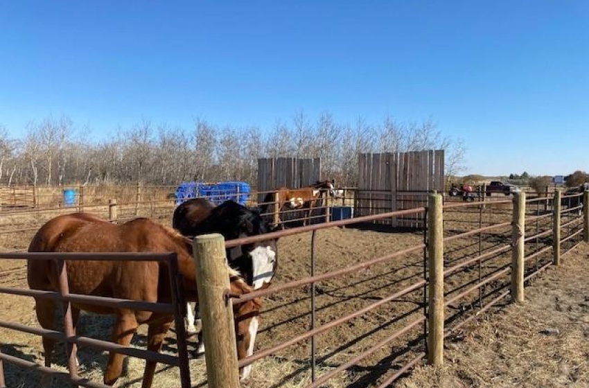 Rural Address, Vanscoy Rm No. 345, Saskatchewan S0L 3J0, 7 Bedrooms Bedrooms, 22 Rooms Rooms,4 BathroomsBathrooms,Acreage,For Sale,Prairie Lane Equestrian Centre Vanscoy RM 345,Rural Address,SK941877