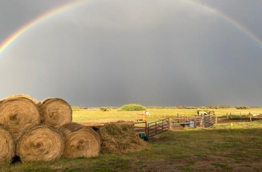 Rural Address, Vanscoy Rm No. 345, Saskatchewan S0L 3J0, 7 Bedrooms Bedrooms, 22 Rooms Rooms,4 BathroomsBathrooms,Acreage,For Sale,Prairie Lane Equestrian Centre Vanscoy RM 345,Rural Address,SK941877