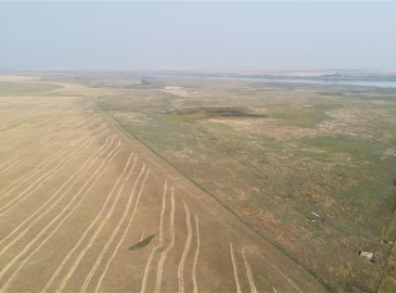 Rural Address, Enfield Rm No. 194, Saskatchewan S0H 0T0, ,Farm,For Sale,Thunder Creek Irrigated Half Section (Stewart),Rural Address,SK942305