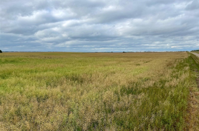 Rural Address, Perdue Rm No. 346, Saskatchewan S0K 3C0, ,Farm,For Sale,Perdue 126 acres Grain Farmland (Konotopetz),Rural Address,SK942433