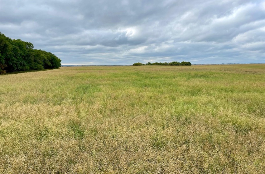 Rural Address, Perdue Rm No. 346, Saskatchewan S0K 3C0, ,Farm,For Sale,Perdue 126 acres Grain Farmland (Konotopetz),Rural Address,SK942433