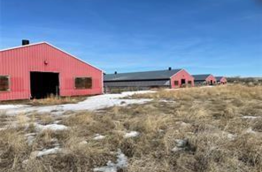 Rural Address, Excelsior Rm No. 166, Saskatchewan S0H 4J0, ,Farm,For Sale,Pig-Barn,Rural Address,SK942658