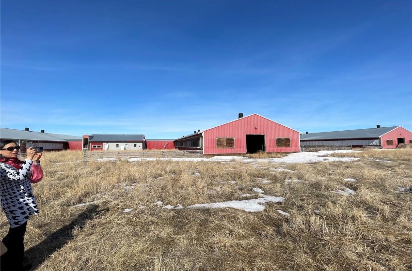 Rural Address, Excelsior Rm No. 166, Saskatchewan S0H 4J0, ,Farm,For Sale,Pig-Barn,Rural Address,SK942658