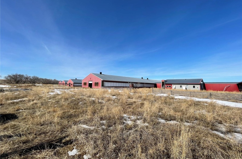 Rural Address, Excelsior Rm No. 166, Saskatchewan S0H 4J0, ,Farm,For Sale,Pig-Barn,Rural Address,SK942658