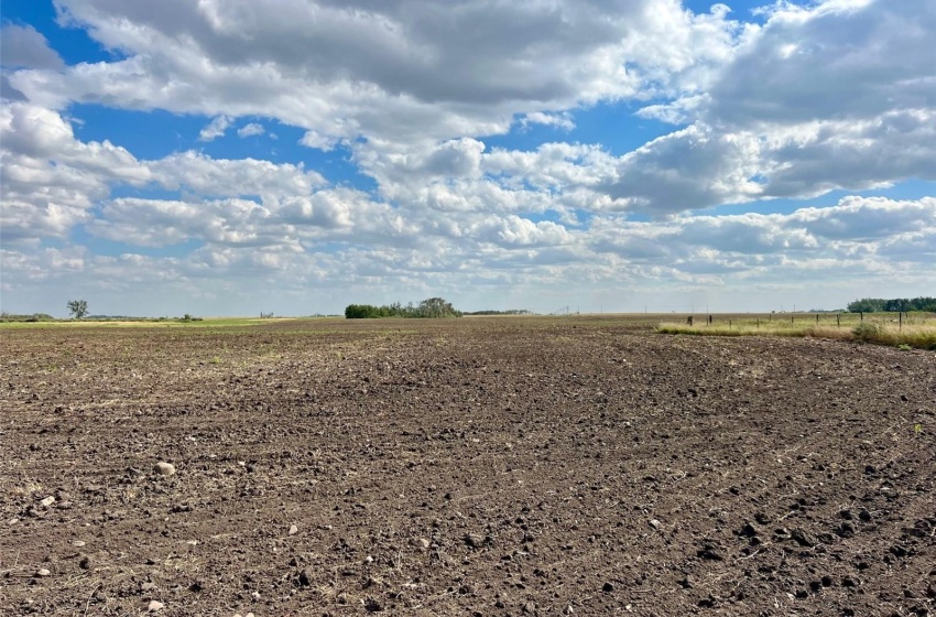 Rural Address, Griffin Rm No. 66, Saskatchewan S0C 1H0, 3 Bedrooms Bedrooms, ,2 BathroomsBathrooms,Farm,For Sale,Midale 160 acres Grain Farmland w/ Acreage (Beale),Rural Address,SK944599