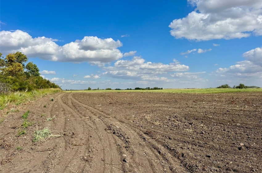 Rural Address, Griffin Rm No. 66, Saskatchewan S0C 1H0, 3 Bedrooms Bedrooms, ,2 BathroomsBathrooms,Farm,For Sale,Midale 160 acres Grain Farmland w/ Acreage (Beale),Rural Address,SK944599