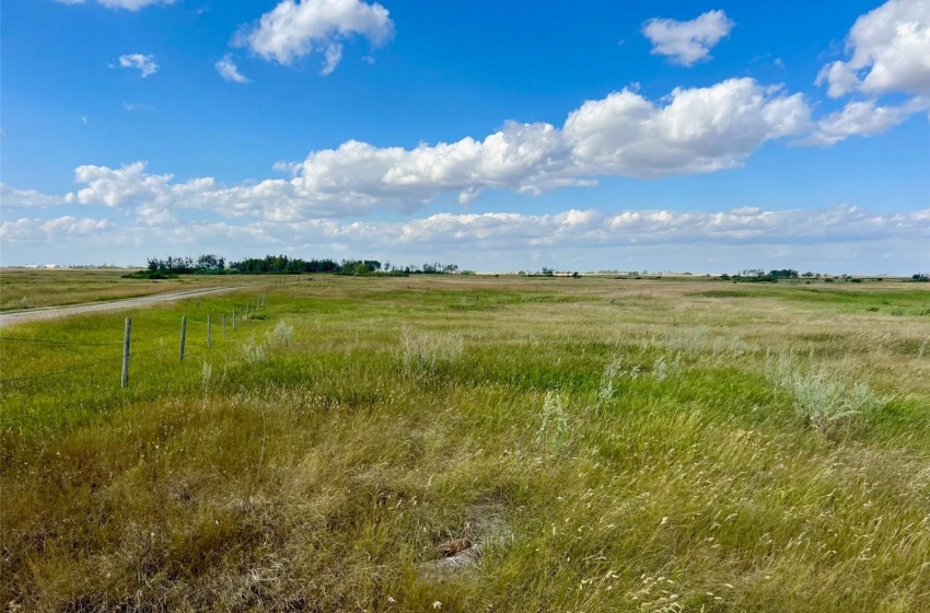 Rural Address, Griffin Rm No. 66, Saskatchewan S0C 1H0, 3 Bedrooms Bedrooms, ,2 BathroomsBathrooms,Farm,For Sale,Midale 160 acres Grain Farmland w/ Acreage (Beale),Rural Address,SK944599