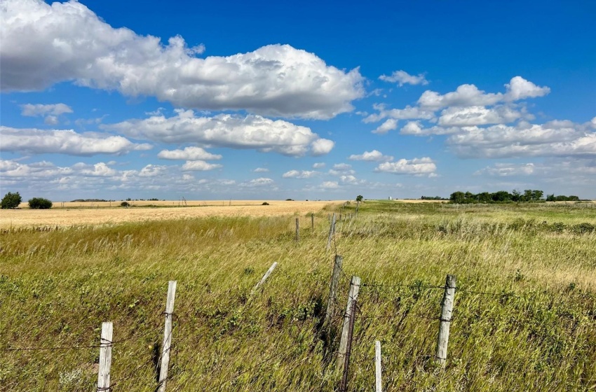 Rural Address, Griffin Rm No. 66, Saskatchewan S0C 1H0, 3 Bedrooms Bedrooms, ,2 BathroomsBathrooms,Farm,For Sale,Midale 160 acres Grain Farmland w/ Acreage (Beale),Rural Address,SK944599