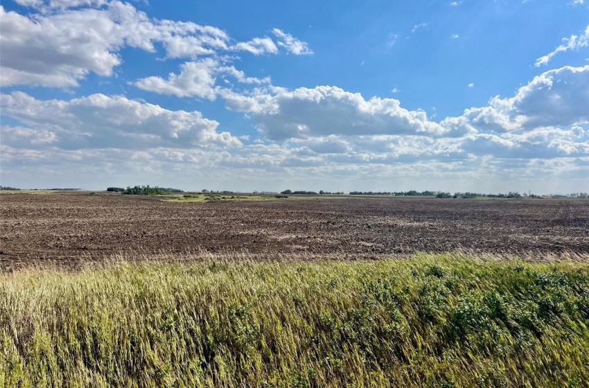 Rural Address, Griffin Rm No. 66, Saskatchewan S0C 1H0, 3 Bedrooms Bedrooms, ,2 BathroomsBathrooms,Farm,For Sale,Midale 160 acres Grain Farmland w/ Acreage (Beale),Rural Address,SK944599