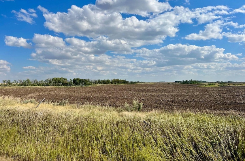 Rural Address, Griffin Rm No. 66, Saskatchewan S0C 1H0, 3 Bedrooms Bedrooms, ,2 BathroomsBathrooms,Farm,For Sale,Midale 160 acres Grain Farmland w/ Acreage (Beale),Rural Address,SK944599