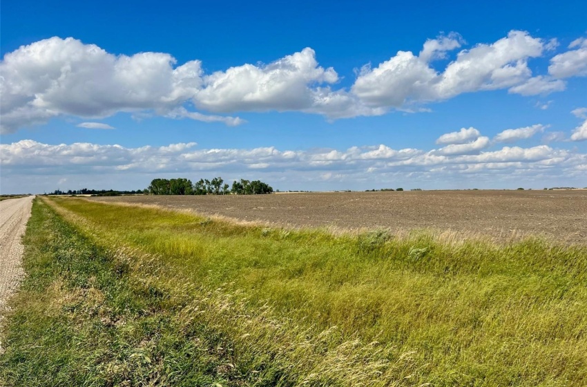 Rural Address, Griffin Rm No. 66, Saskatchewan S0C 1H0, 3 Bedrooms Bedrooms, ,2 BathroomsBathrooms,Farm,For Sale,Midale 160 acres Grain Farmland w/ Acreage (Beale),Rural Address,SK944599