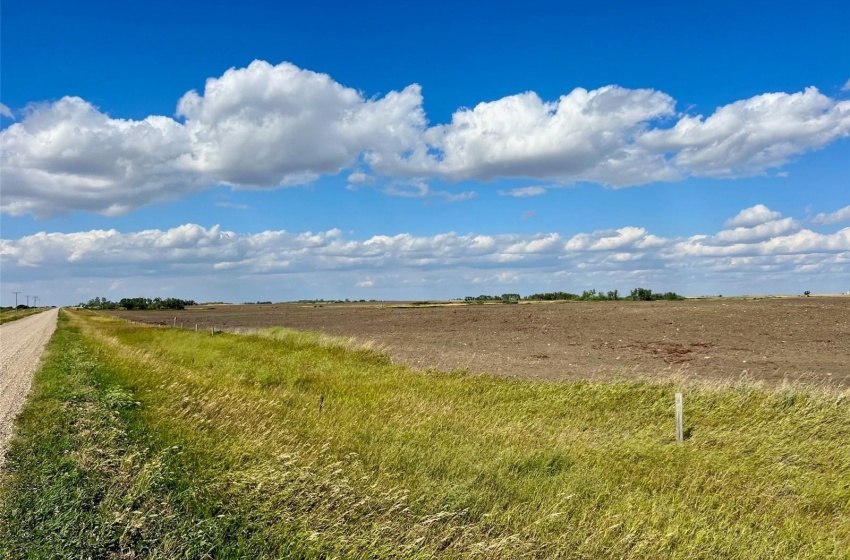 Rural Address, Griffin Rm No. 66, Saskatchewan S0C 1H0, 3 Bedrooms Bedrooms, ,2 BathroomsBathrooms,Farm,For Sale,Midale 160 acres Grain Farmland w/ Acreage (Beale),Rural Address,SK944599