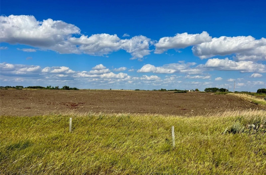 Rural Address, Griffin Rm No. 66, Saskatchewan S0C 1H0, 3 Bedrooms Bedrooms, ,2 BathroomsBathrooms,Farm,For Sale,Midale 160 acres Grain Farmland w/ Acreage (Beale),Rural Address,SK944599