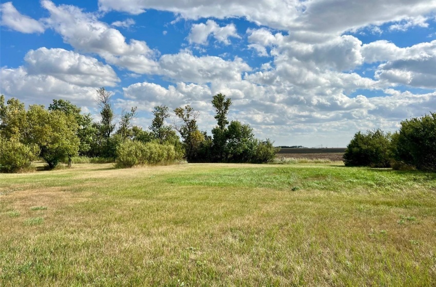 Rural Address, Griffin Rm No. 66, Saskatchewan S0C 1H0, 3 Bedrooms Bedrooms, ,2 BathroomsBathrooms,Farm,For Sale,Midale 160 acres Grain Farmland w/ Acreage (Beale),Rural Address,SK944599