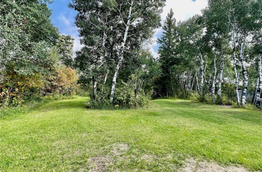 Rural Address, Preeceville Rm No. 334, Saskatchewan S0A 3B0, 4 Bedrooms Bedrooms, 16 Rooms Rooms,2 BathroomsBathrooms,Acreage,For Sale,Charnstrom Acreage RM of Preeceville 7.8 Acres,Rural Address,SK944769