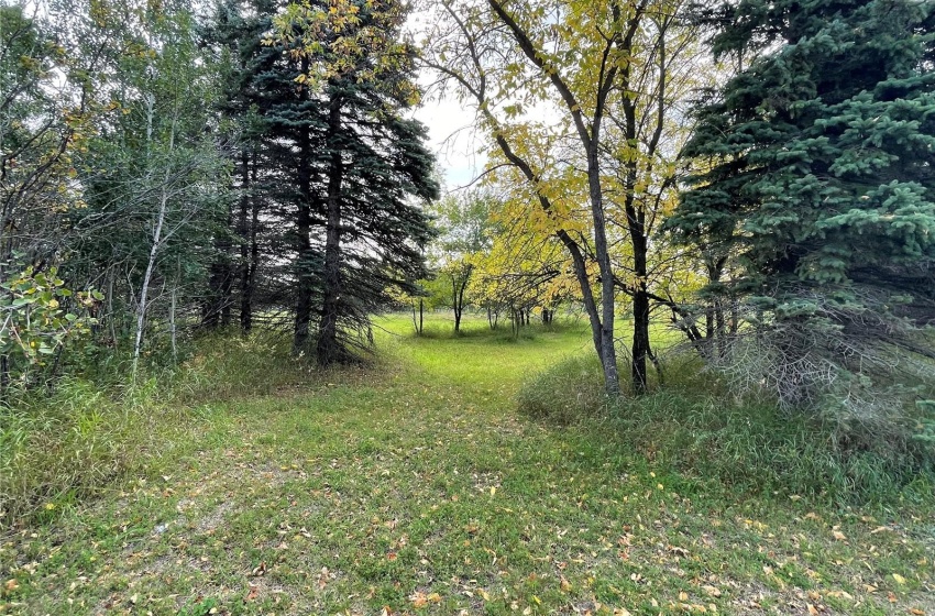 Rural Address, Preeceville Rm No. 334, Saskatchewan S0A 3B0, 4 Bedrooms Bedrooms, 16 Rooms Rooms,2 BathroomsBathrooms,Acreage,For Sale,Charnstrom Acreage RM of Preeceville 7.8 Acres,Rural Address,SK944769