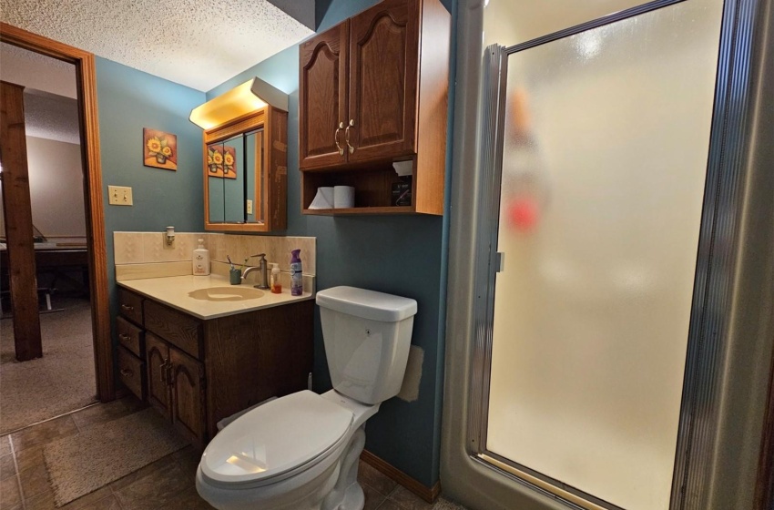 3-piece basement bathroom