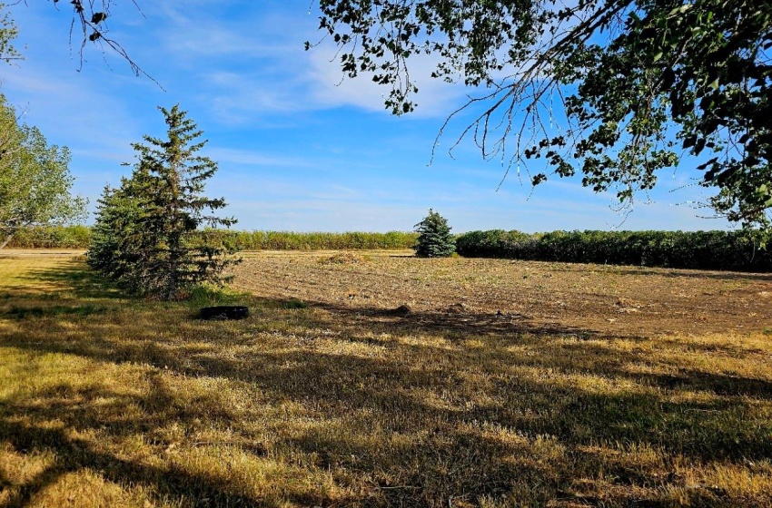 Garden Area