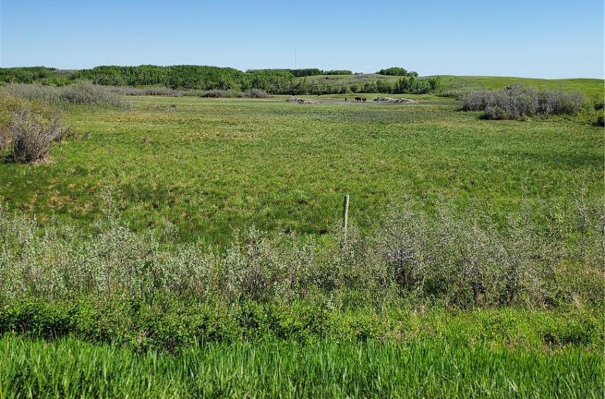 Rural Address, Meota Rm No.468, Saskatchewan S0M 0L0, ,Farm,For Sale,Aquadeo 641 acres Grain & Pasture, Jack Fish L,Rural Address,SK945246