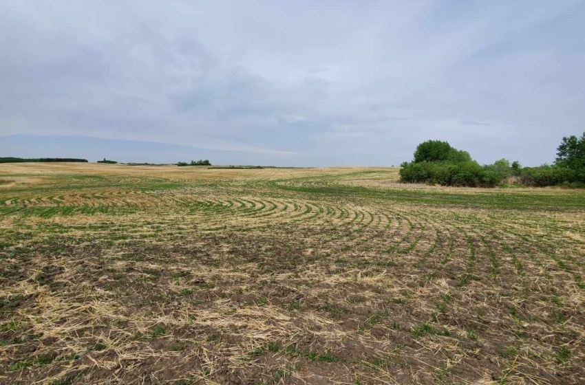 Rural Address, Glenside Rm No. 377, Saskatchewan S0H 1T0, ,Farm,For Sale,Sonningdale 283.4 ac. Recreation, Pasture & Gr,Rural Address,SK945303