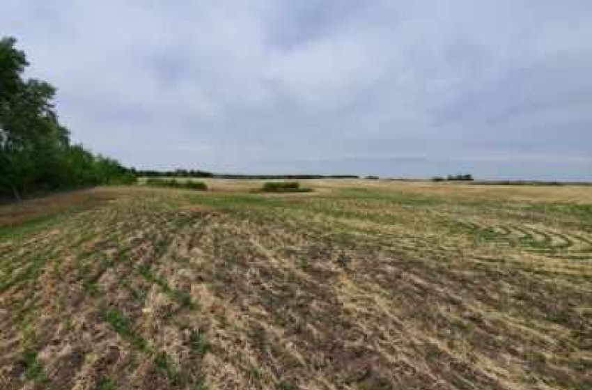 Rural Address, Glenside Rm No. 377, Saskatchewan S0H 1T0, ,Farm,For Sale,Sonningdale 283.4 ac. Recreation, Pasture & Gr,Rural Address,SK945303