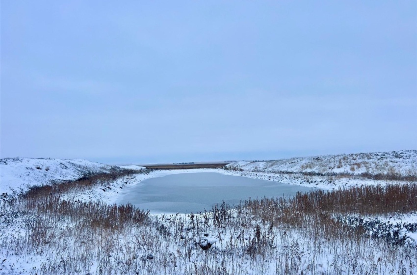 Rural Address, Pinto Creek Rm No. 75, Saskatchewan S0H 2J0, ,Farm,For Sale,Kincaid 640.6 Acres Pastureland,Rural Address,SK946904