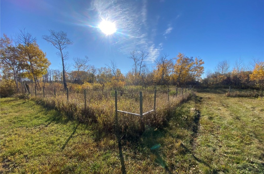 Rural Address, Wallace Rm No. 243, Saskatchewan S0A 3N0, 2 Bedrooms Bedrooms, 8 Rooms Rooms,1 BathroomBathrooms,Acreage,For Sale,KM Acreage,Rural Address,SK948555