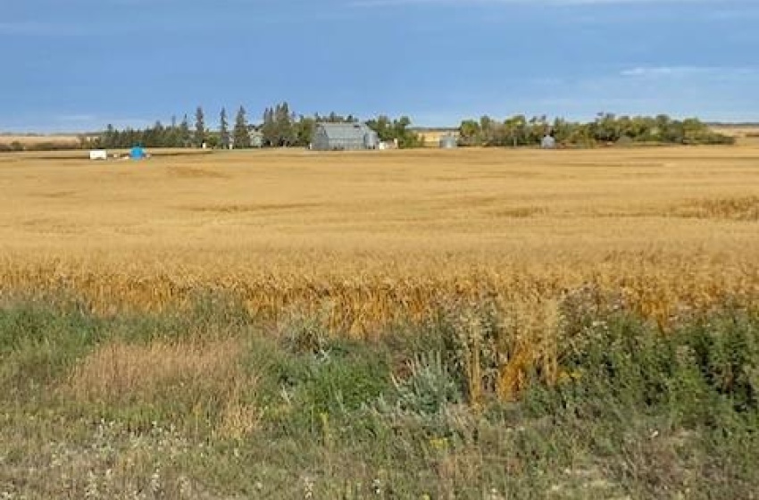 Rural Address, Abernethy Rm No. 186, Saskatchewan S0A 0A0, 3 Bedrooms Bedrooms, 10 Rooms Rooms,2 BathroomsBathrooms,Acreage,For Sale,Baillie Acreage,Rural Address,SK948993