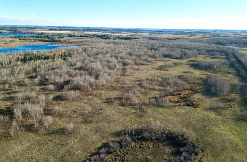 Rural Address, Medstead Rm No.497, Saskatchewan S0M 1W0, ,Farm,For Sale,Anderson Quarter,Rural Address,SK949088