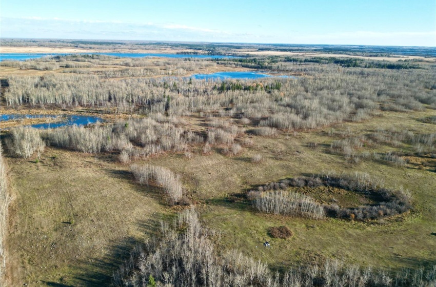 Rural Address, Medstead Rm No.497, Saskatchewan S0M 1W0, ,Farm,For Sale,Anderson Quarter,Rural Address,SK949088