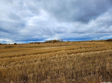 Rural Address, Kellross Rm No. 247, Saskatchewan S0A 1V0, ,Farm,For Sale,Kelliher 316 acres Grain Farmland (Yanko),Rural Address,SK948963