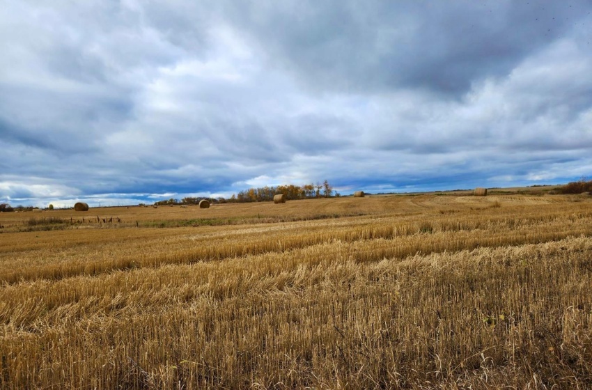 Rural Address, Kellross Rm No. 247, Saskatchewan S0A 1V0, ,Farm,For Sale,Kelliher 316 acres Grain Farmland (Yanko),Rural Address,SK948963