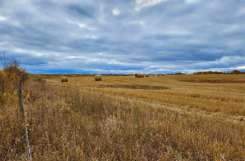 Rural Address, Kellross Rm No. 247, Saskatchewan S0A 1V0, ,Farm,For Sale,Kelliher 316 acres Grain Farmland (Yanko),Rural Address,SK948963