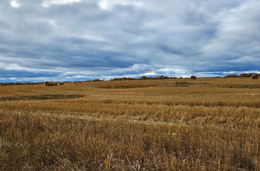 Rural Address, Kellross Rm No. 247, Saskatchewan S0A 1V0, ,Farm,For Sale,Kelliher 316 acres Grain Farmland (Yanko),Rural Address,SK948963