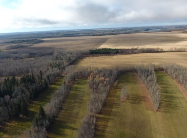 Rural Rural Address, Barrier Valley Rm No. 397, Saskatchewan S0E 0B0, 3 Bedrooms Bedrooms, 4 Rooms Rooms,Acreage,For Sale,Valley Fairways Golf Course,Rural Address,SK949262