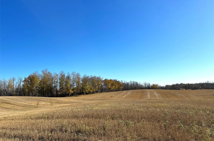 Rural Address, Preeceville Rm No. 334, Saskatchewan S0A 3B0, ,Farm,For Sale,Scebenski,Rural Address,SK949473