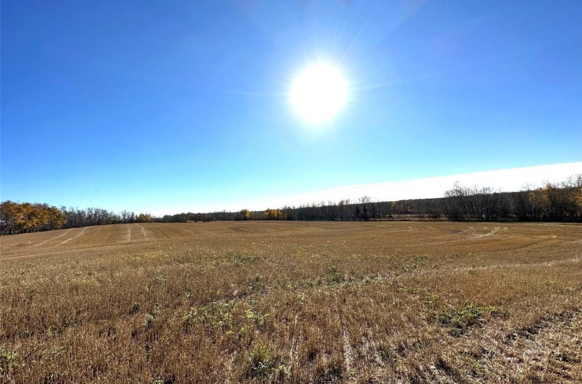 Rural Address, Preeceville Rm No. 334, Saskatchewan S0A 3B0, ,Farm,For Sale,Scebenski,Rural Address,SK949473