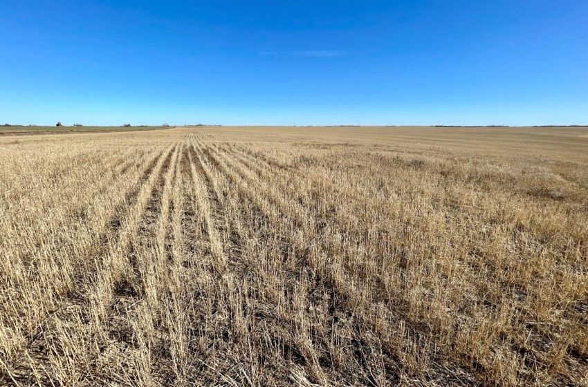 Rural Address, Harris Rm No. 316, Saskatchewan S0L 1K0, ,Farm,For Sale,Harris 320 acres Grain Farmland (Howard),Rural Address,SK949553