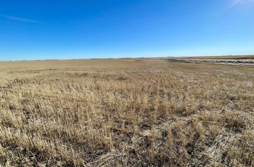 Rural Address, Harris Rm No. 316, Saskatchewan S0L 1K0, ,Farm,For Sale,Harris 320 acres Grain Farmland (Howard),Rural Address,SK949553