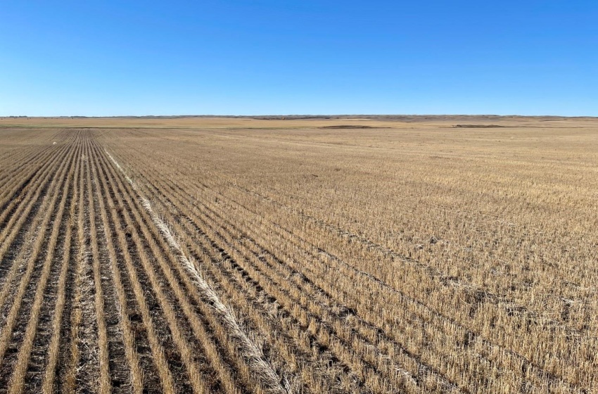 Rural Address, Harris Rm No. 316, Saskatchewan S0L 1K0, ,Farm,For Sale,Harris 320 acres Grain Farmland (Howard),Rural Address,SK949553