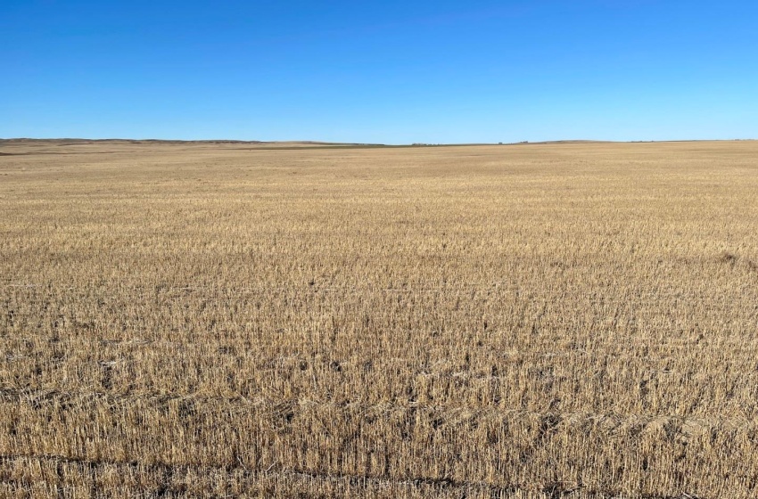 Rural Address, Harris Rm No. 316, Saskatchewan S0L 1K0, ,Farm,For Sale,Harris 320 acres Grain Farmland (Howard),Rural Address,SK949553