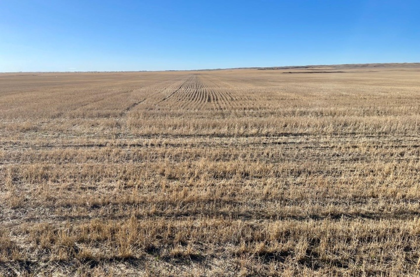 Rural Address, Harris Rm No. 316, Saskatchewan S0L 1K0, ,Farm,For Sale,Harris 320 acres Grain Farmland (Howard),Rural Address,SK949553