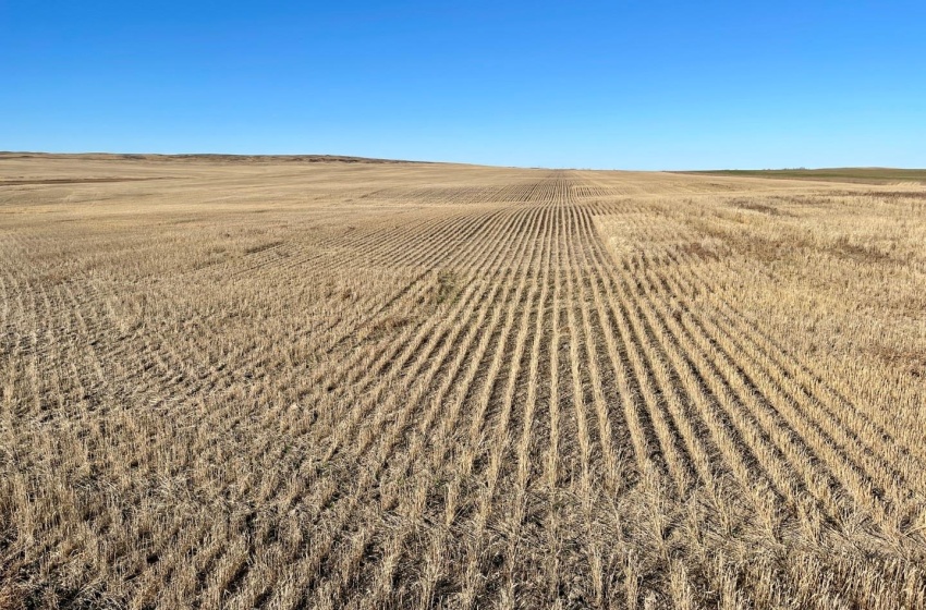 Rural Address, Harris Rm No. 316, Saskatchewan S0L 1K0, ,Farm,For Sale,Harris 320 acres Grain Farmland (Howard),Rural Address,SK949553