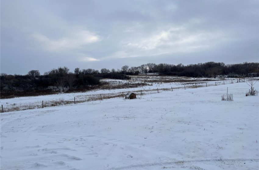 View of yard to south