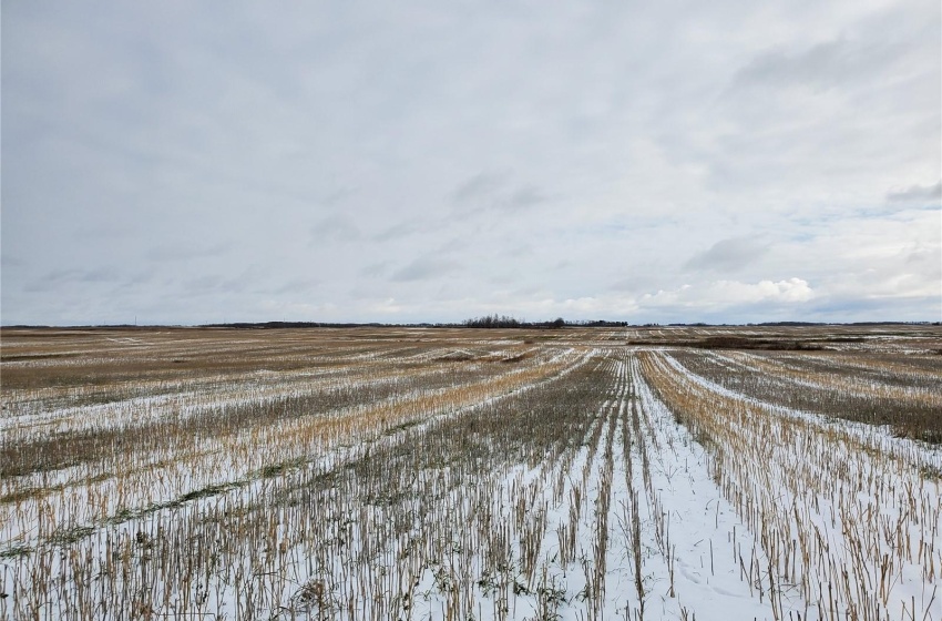 Rural Address, Wallace Rm No. 243, Saskatchewan S0A 3R0, ,Farm,For Sale,Grain Land - RM of Wallace #243,Rural Address,SK949846