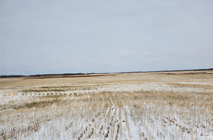 Rural Address, Wallace Rm No. 243, Saskatchewan S0A 3R0, ,Farm,For Sale,Grain Land - RM of Wallace #243,Rural Address,SK949846