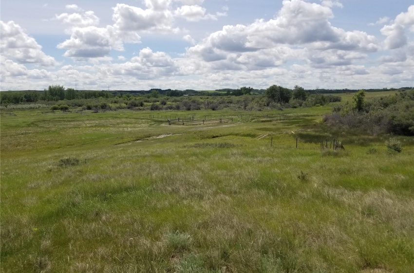 View of local wilderness featuring a rural view