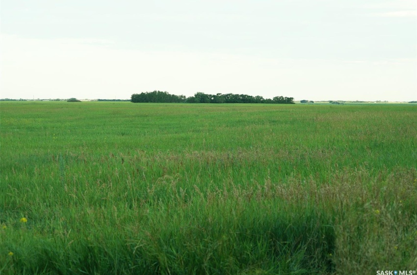 View of nature with a rural view