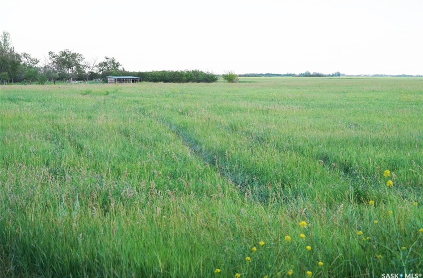 View of nature featuring a rural view